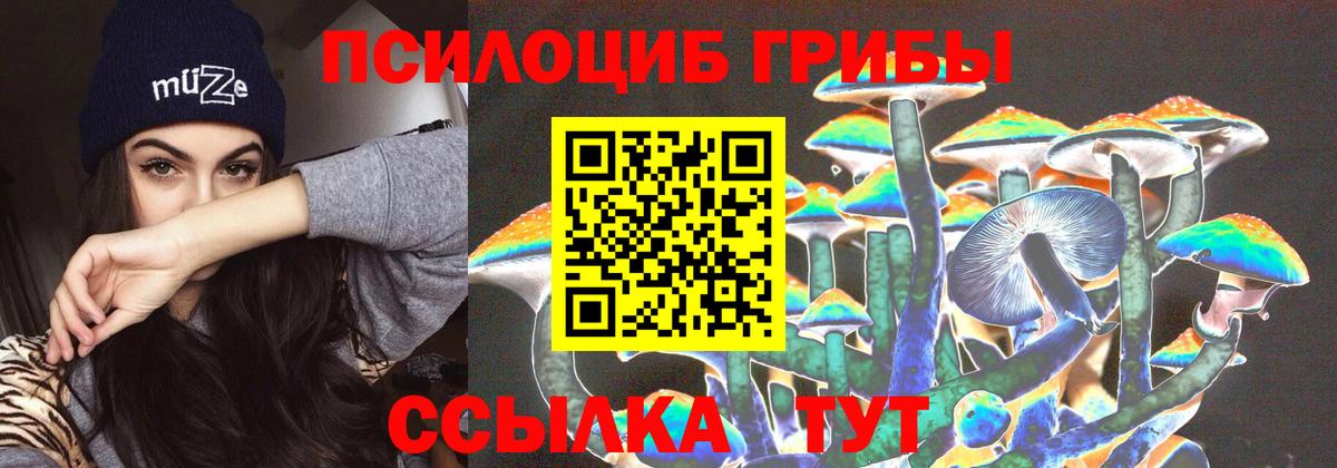 Галлюциногенные грибы мухоморы Рассказово